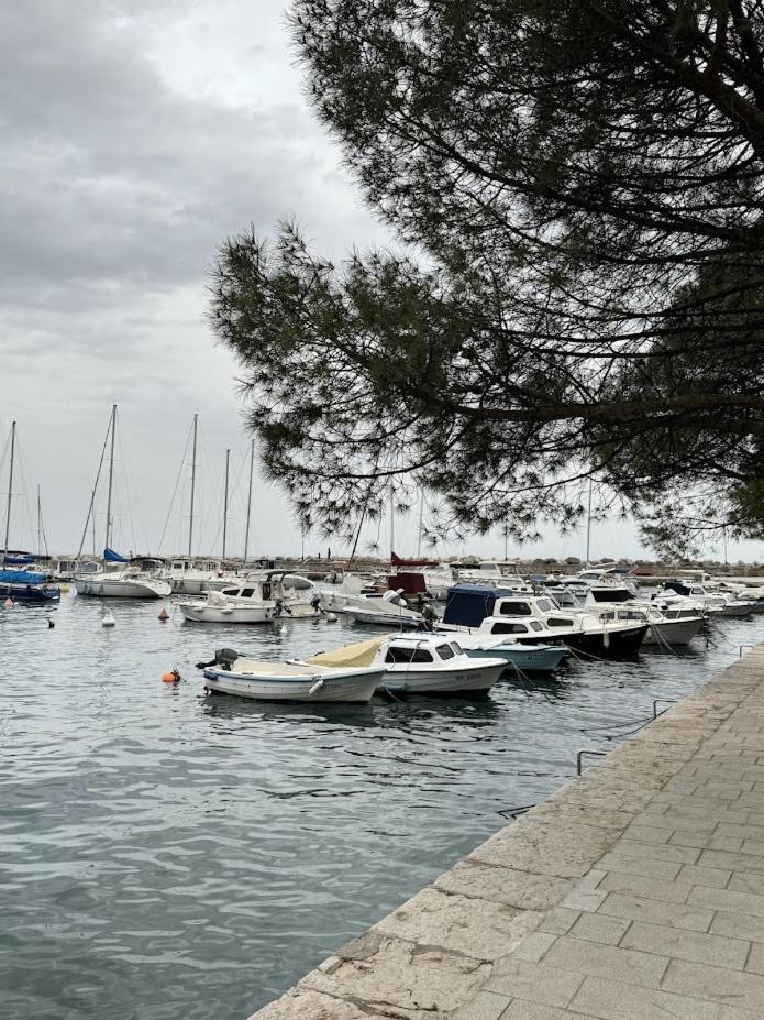 Vila Mila Volosko Opatija Exteriör bild